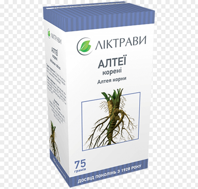 Pach Herbaceous Plant Pharmacy Pharmaceutical Drug Kiev PNG