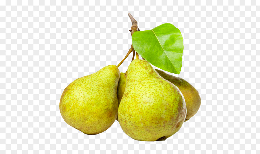PEER Comice Pears Fruit Doyenné Williams Pear PNG