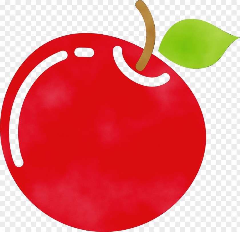 Seedless Fruit Drupe Apple Tree Drawing PNG