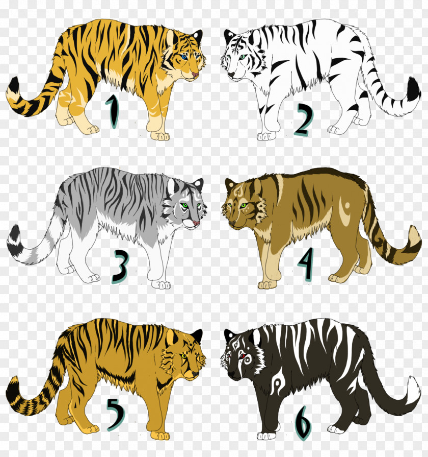 Tiger Lion Wildcat Clip Art PNG