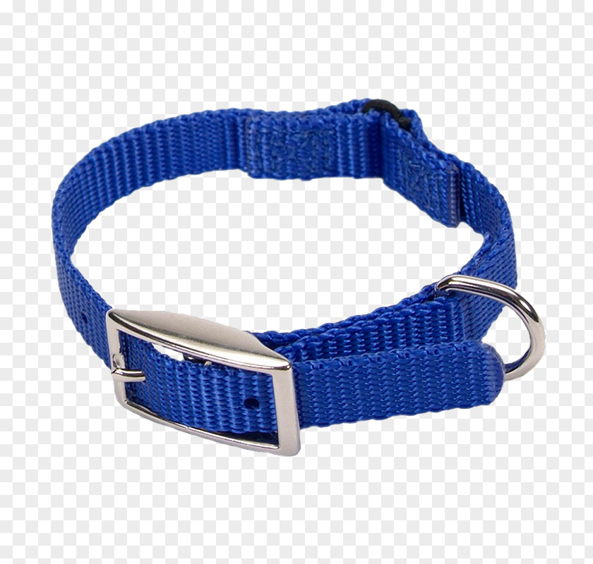 Blue Collar Dog Cat Leash PNG