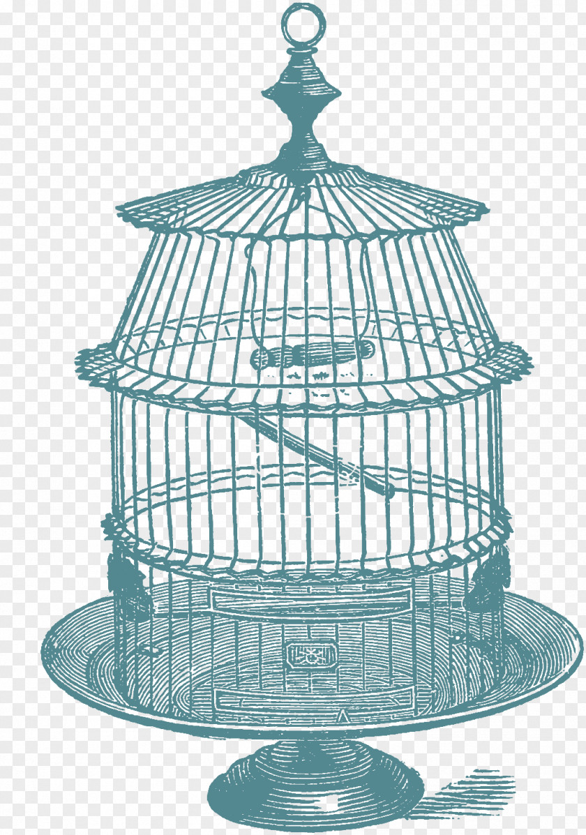 Cages Clip Art Cage Drawing Image PNG