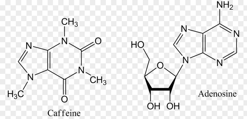 Coffee Energy Drink Tea Caffeine Adenosine PNG