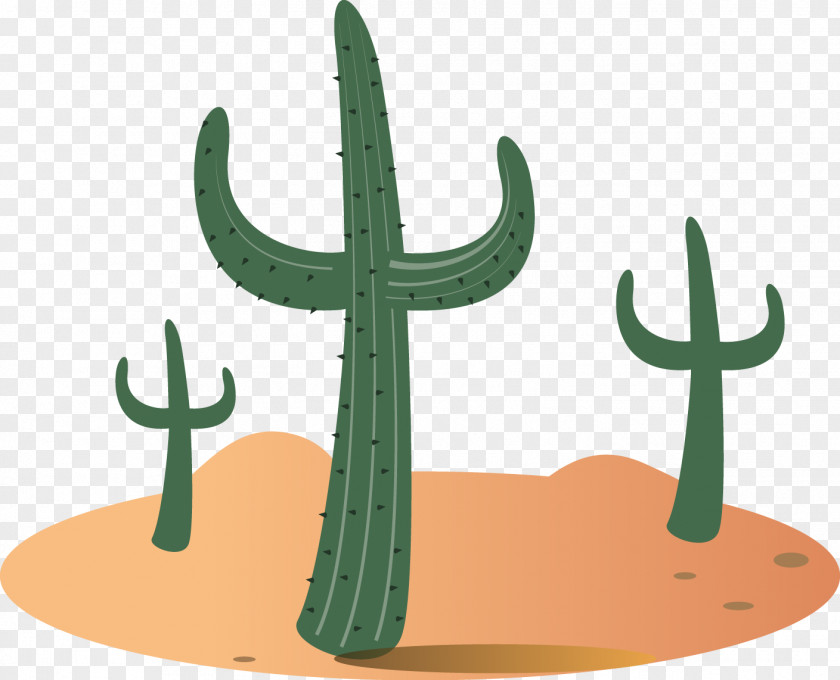 Desert Cactus Gobi Sahara Sonoran Cactaceae PNG