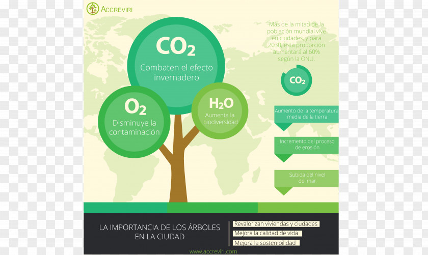 Light Carbon Dioxide Greenhouse Effect Presentation PNG