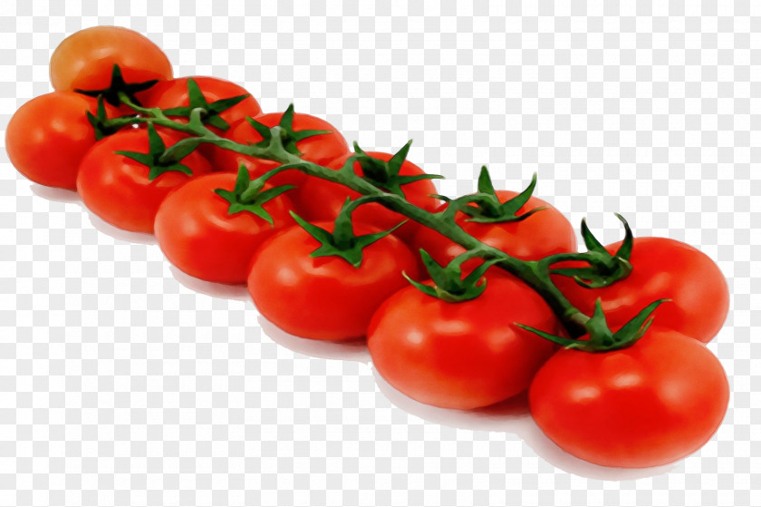 Plum Tomato Fruit PNG