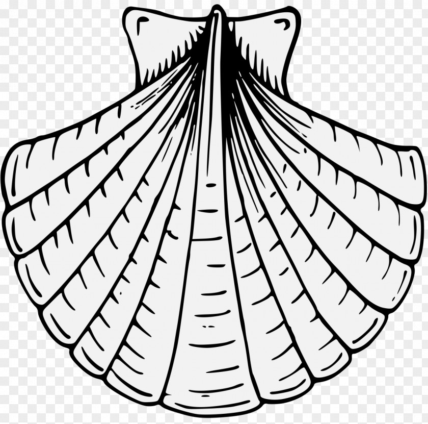 Scallop Shell Complete Guide To Heraldry Line Art PNG