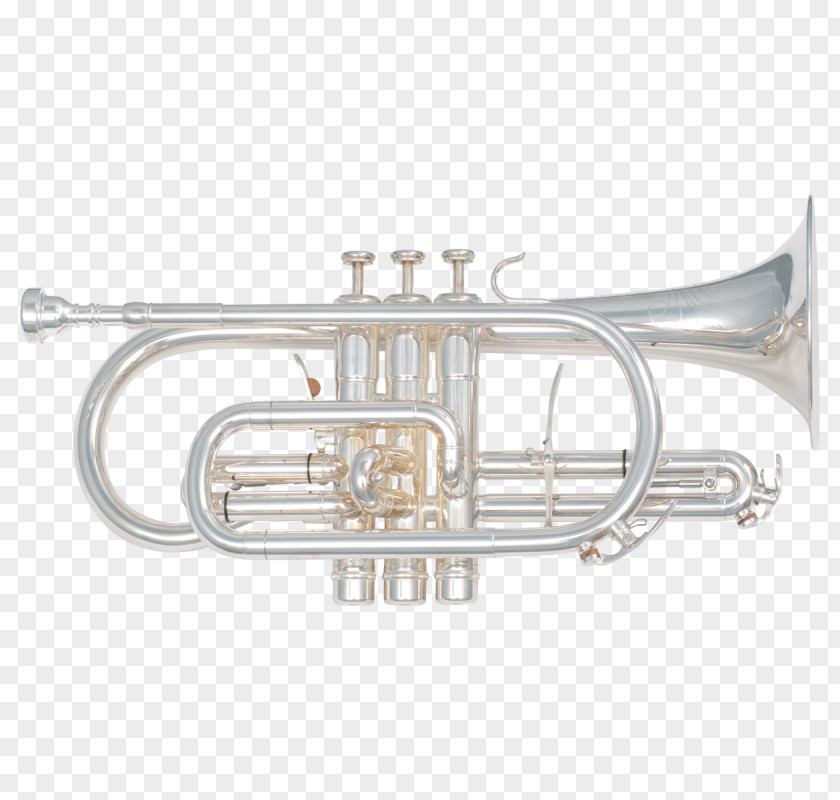Trumpet Cornet Saxhorn Brass Instruments Flugelhorn Bugle PNG