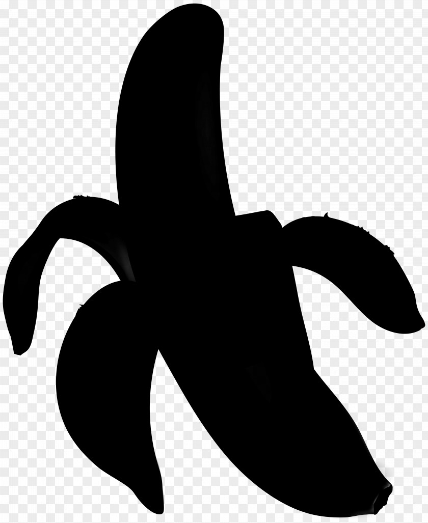Banana Family Logo Leaf PNG