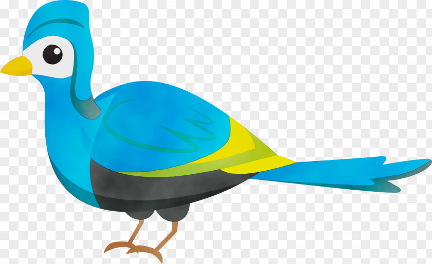 Beak Ducks Landfowl Birds Water Bird PNG