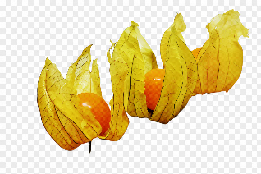 Food Fruit Yellow Peruvian Groundcherry Leaf Plant Starfruit PNG
