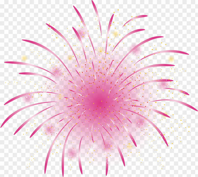 Pink Romantic Fireworks Petal Close-up PNG