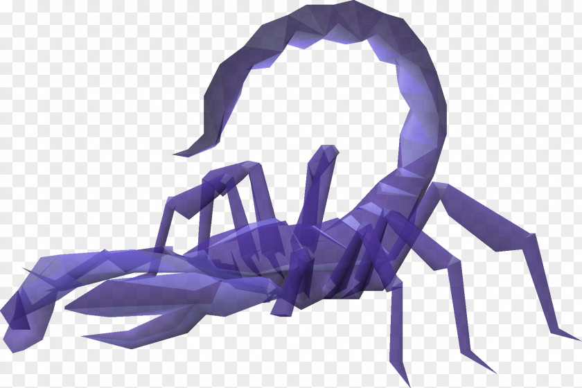 Tarantula Crab Spider Cartoon PNG