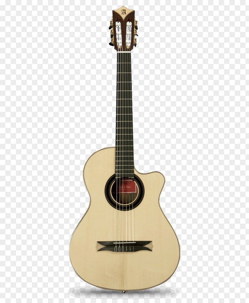 Acoustic Guitar Maton Acoustic-electric Ovation Company PNG