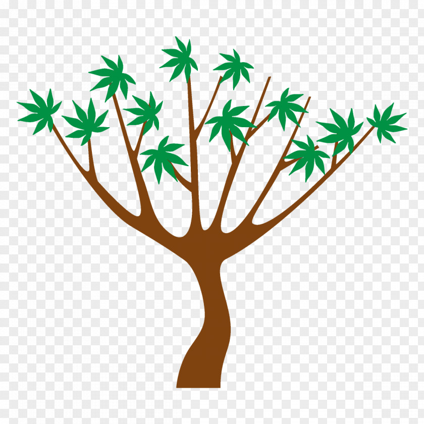American Larch Grass Leaf Tree Plant Stem Branch PNG
