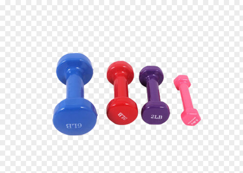 Small Colored Dumbbells Dumbbell Bodybuilding Physical Exercise Fitness Barbell PNG