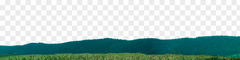 Corn Field Biome Grassland Desktop Wallpaper Land Lot Ecoregion PNG