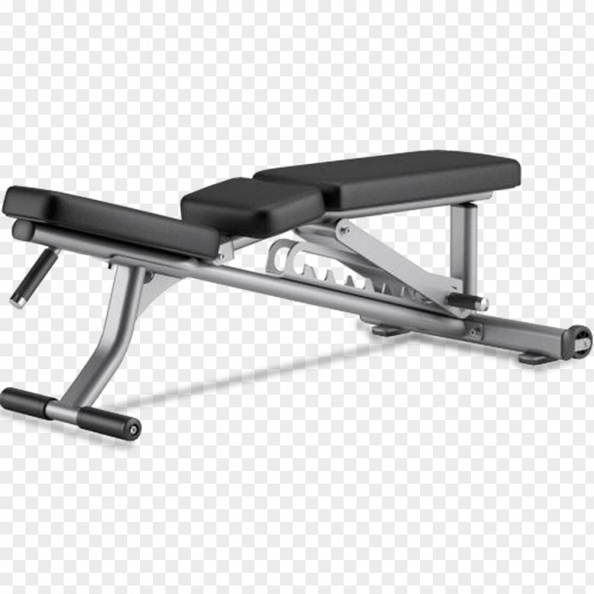 Dumbbell Bench Weight Training Physical Fitness Life Exercise PNG