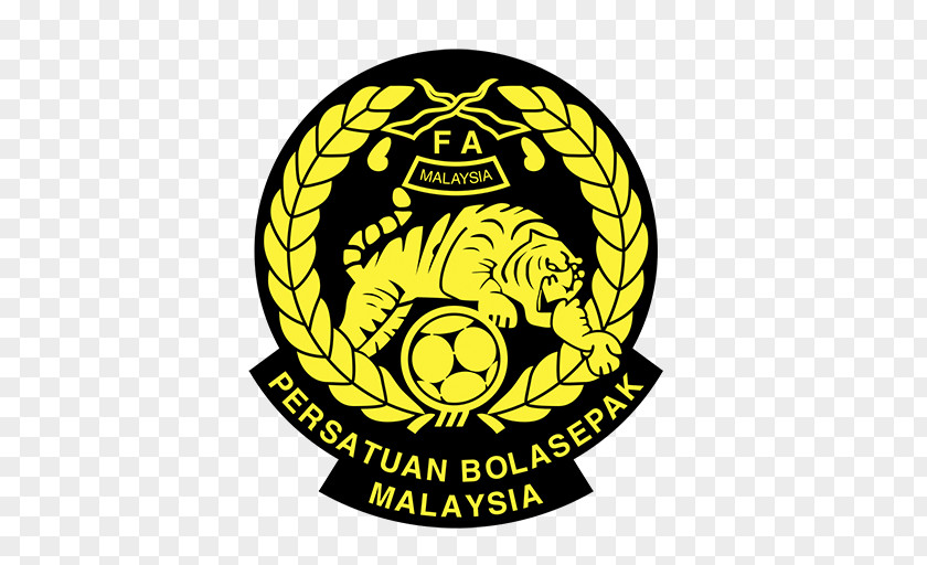 Football Malaysia National Team Super League Brunei Cambodia AFF Championship PNG