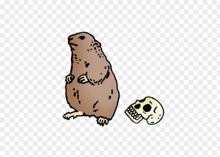 Hamster Poetry Bear Beaver Rodent PNG