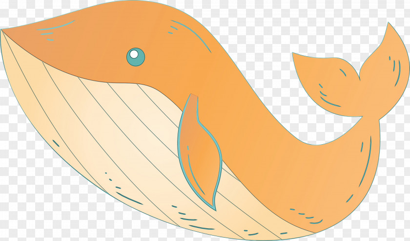 Orange PNG