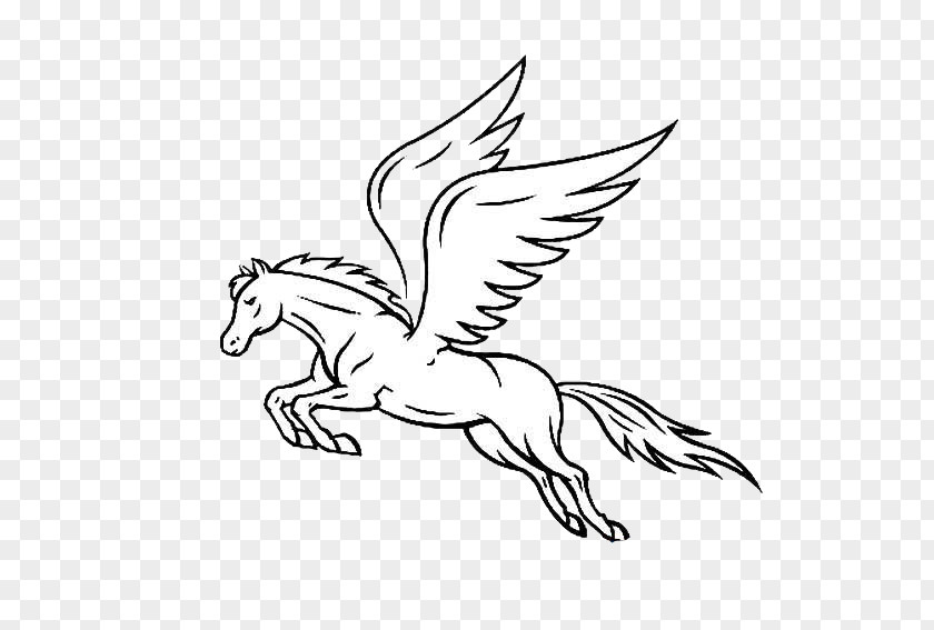 Pegasus Horse White Illustration PNG