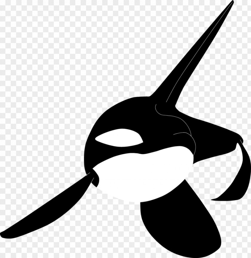 Black Sketch Killer Whale Tattoo Flash PNG