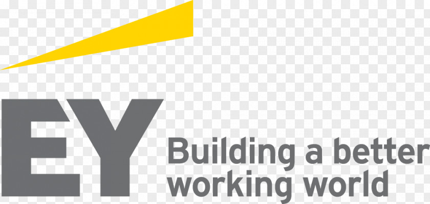 Ernst & Young Logo Organization KPMG Financial Audit PNG