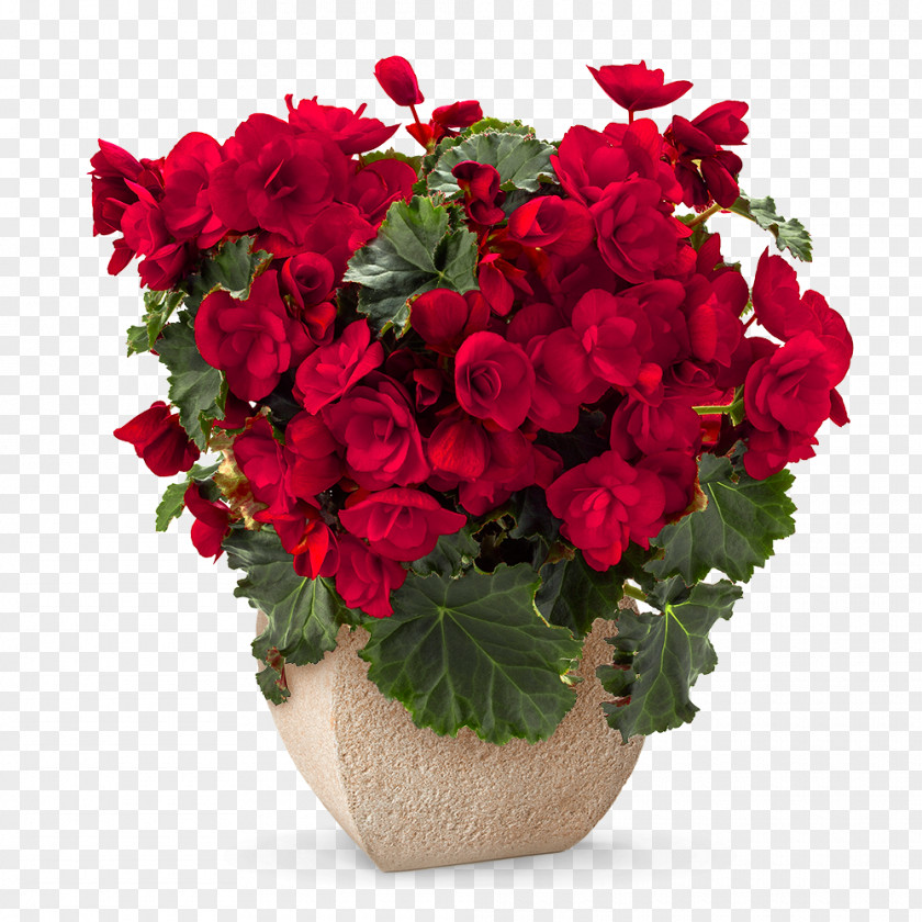 Flower Bouquet Red Rose Floristry PNG
