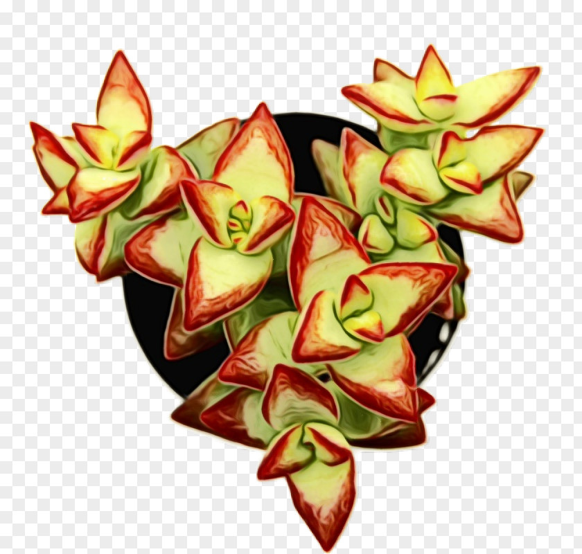 Flower Plant Leaf PNG