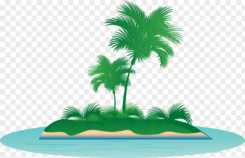 Tropical Coconut Vector Tree Arecaceae Clip Art PNG