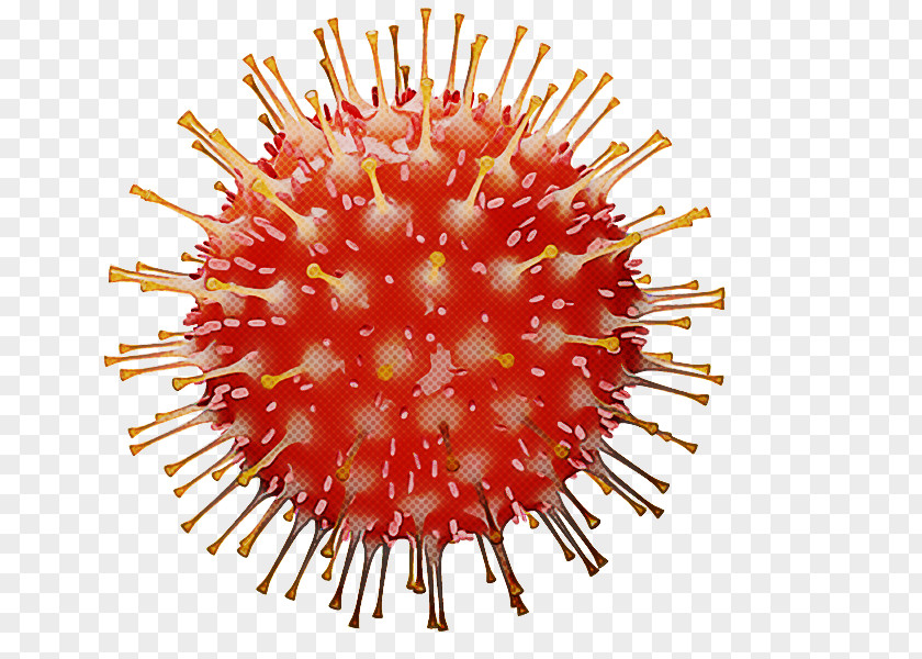 Virus Coronavirus Disease 2019 Infection Severe Acute Respiratory Syndrome 2 PNG