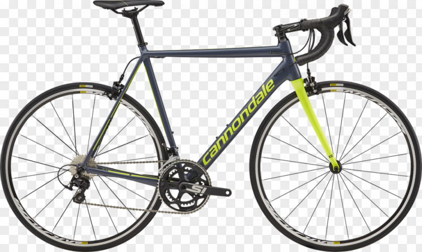 Bicycle Cannondale Men's CAAD12 Corporation Cycling Shop PNG