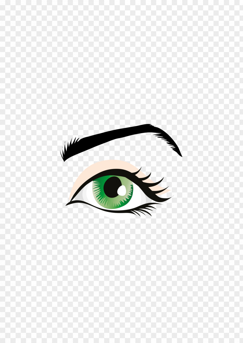 Eyelash Eyebrow Human Eye Clip Art PNG