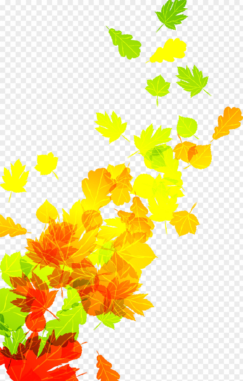 Falling Leaves Autumn Leaf Color PNG