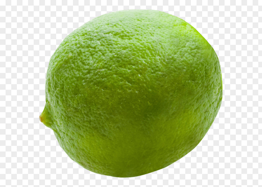 Lemon Persian Lime Key Sweet PNG