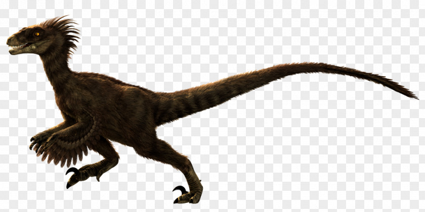 Leopard Skin Design Velociraptor Primal Carnage: Extinction Spinosaurus Carnotaurus PNG