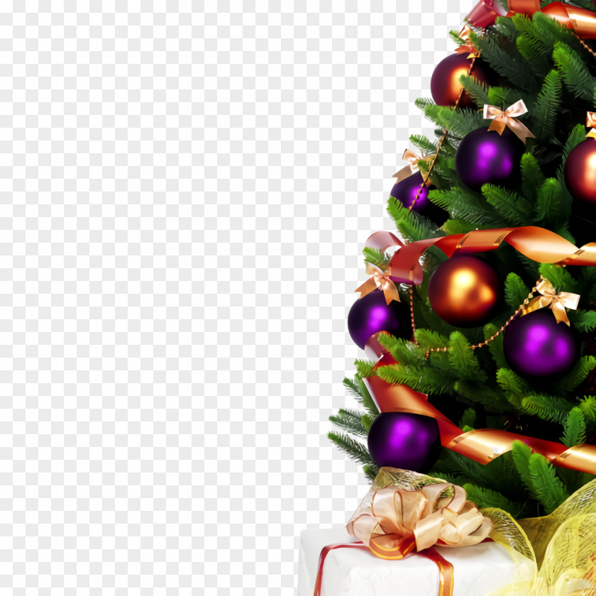Natural Foods Christmas Decoration PNG
