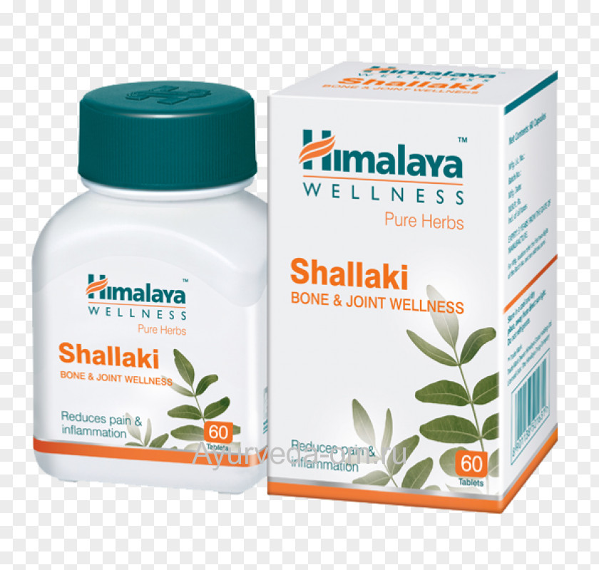Tablet Indian Frankincense The Himalaya Drug Company Boswellic Acid Ayurveda PNG