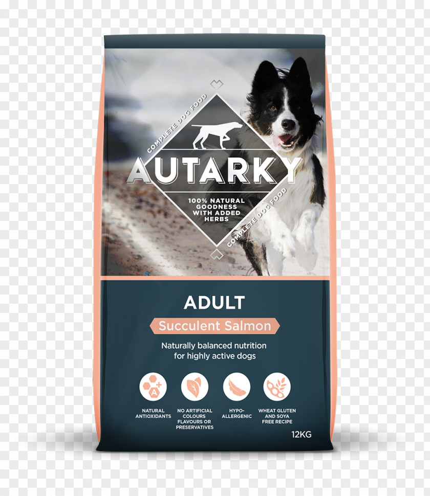 Aloe Vera Pulp Dog Food Chicken As Meal PNG