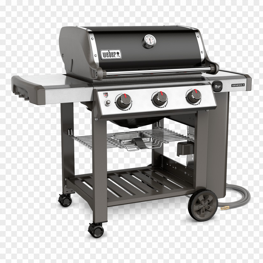 Barbecue Weber Genesis II E-310 S-310 Natural Gas Propane PNG