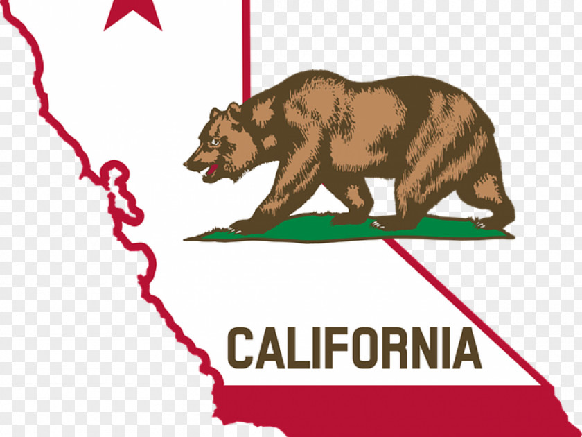 California Flag Of The United States Governor Law PNG