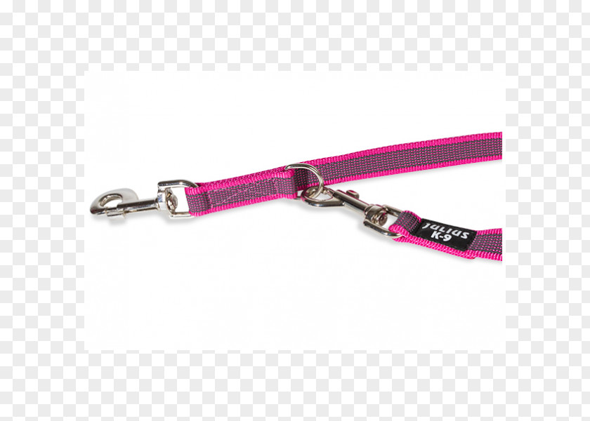Dog Leash Police Pink Collar PNG