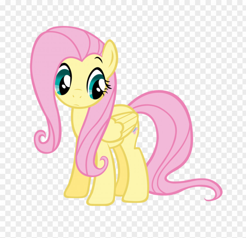 Shy Fluttershy Twilight Sparkle Pony Pinkie Pie Rarity PNG