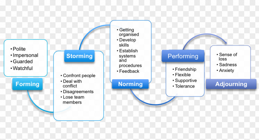 Tuckman Team Development Brand Leadership Technology PNG