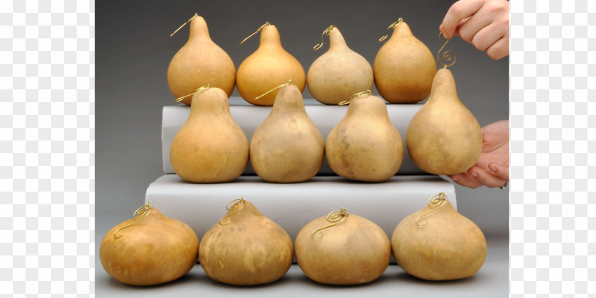 Gourd Art Calabash Shallot Food PNG