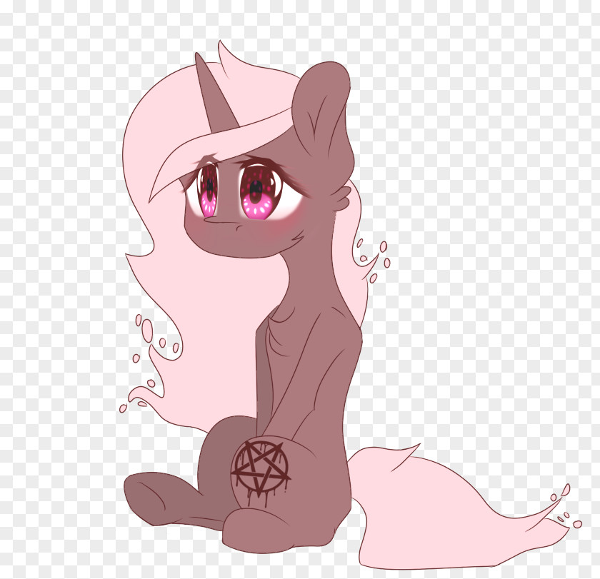 Kitten Whiskers Cat Horse Pony PNG