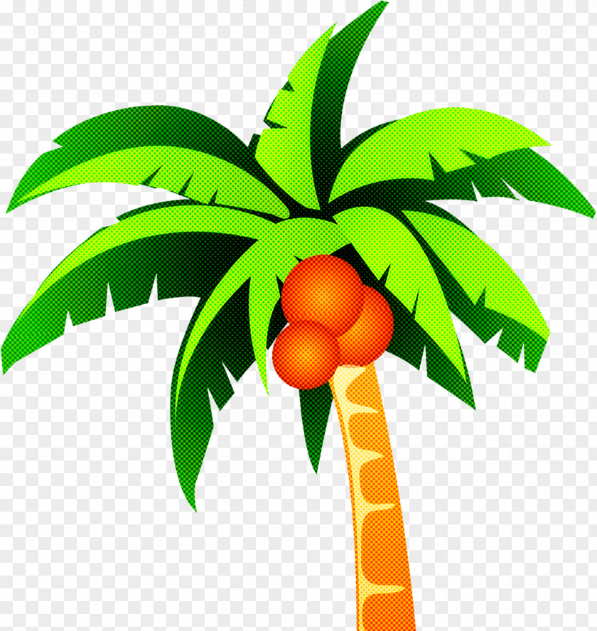 Palm Tree PNG