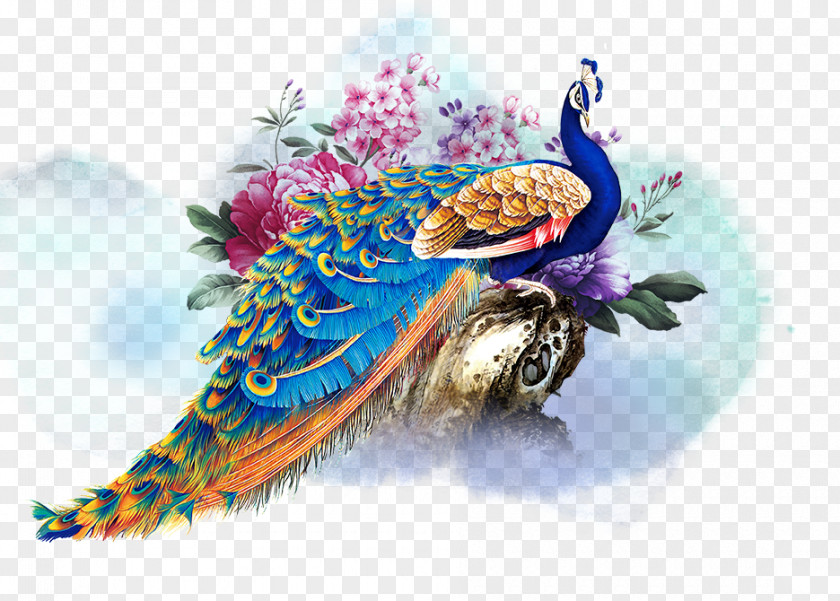 Peacock Graphic Design PNG