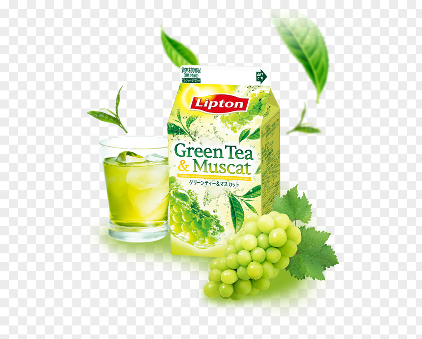Tea Green Juice Bancha Drink PNG
